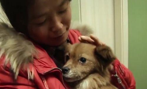 狗子黑料爆料视频下载,视频爆料背后的真相与争议